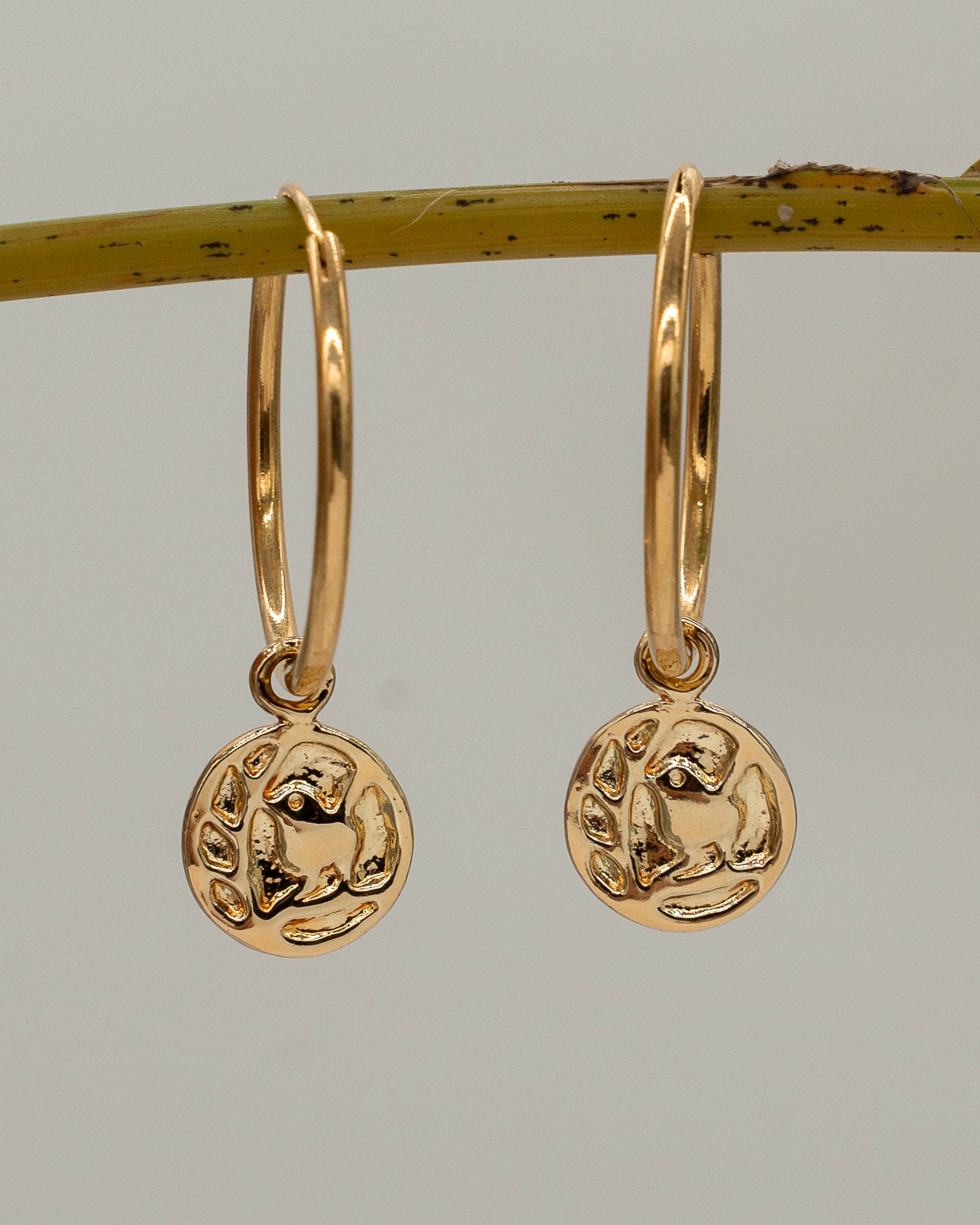 Gold hoop earrings with circular pendants on a branch