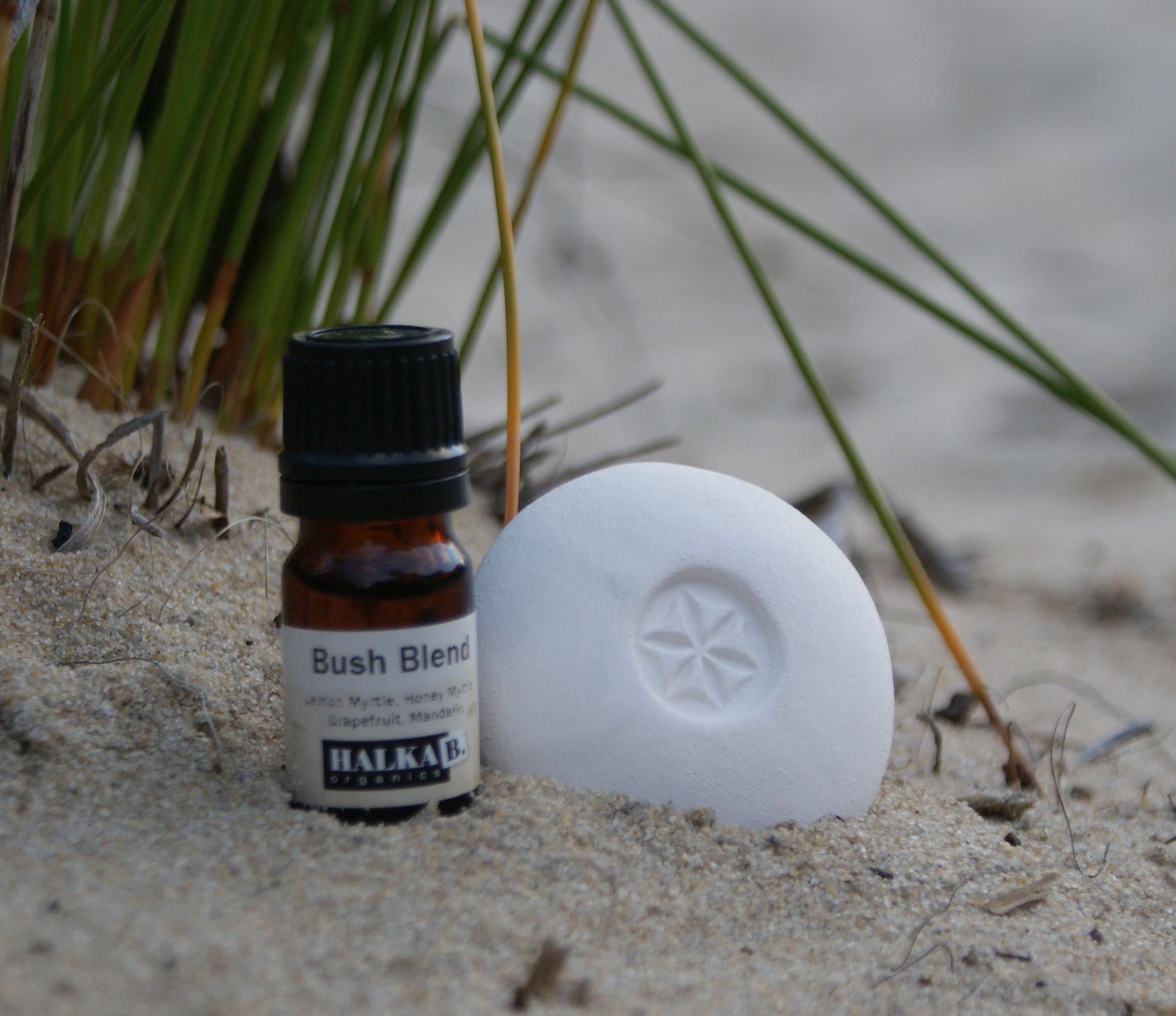 A white Scent Pebble with a carved star design resting in sand next to a small amber bottle labeled Bush Blend, set against natural beach grass background.