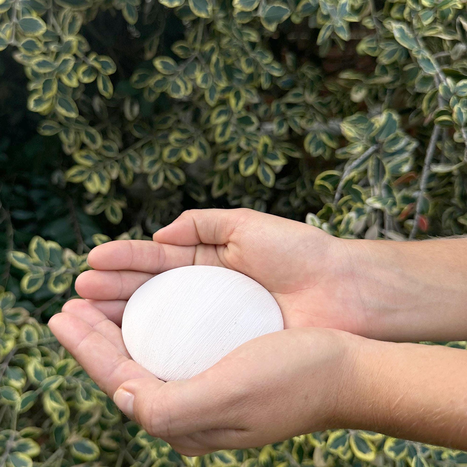Hands gently holding a smooth, white Body Pebble designed for myofascial massage and exfoliate, set against a background of green variegated foliage.